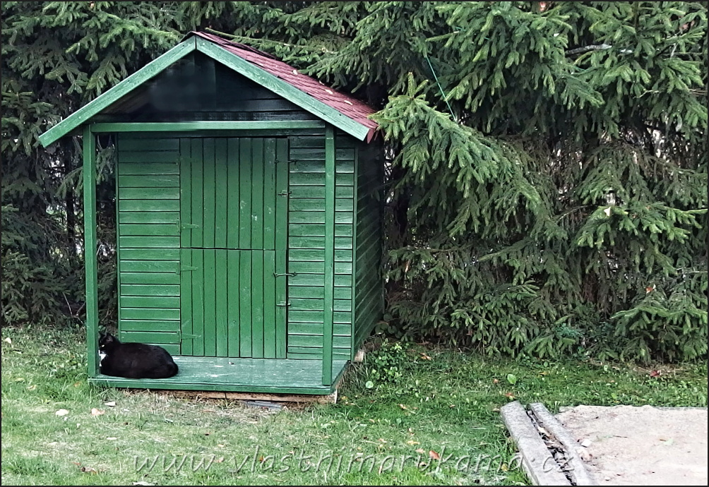 Zeleně natřený zahradní domek pro děti, před ním leží černý kocour